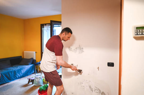 Best Bathroom Mold Remediation in Piketon, OH
